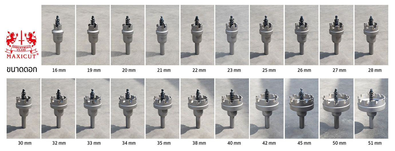 ดอกโฮลซอร์คาร์ไบด์ ดอกโฮลซอร์คาร์ไบด์