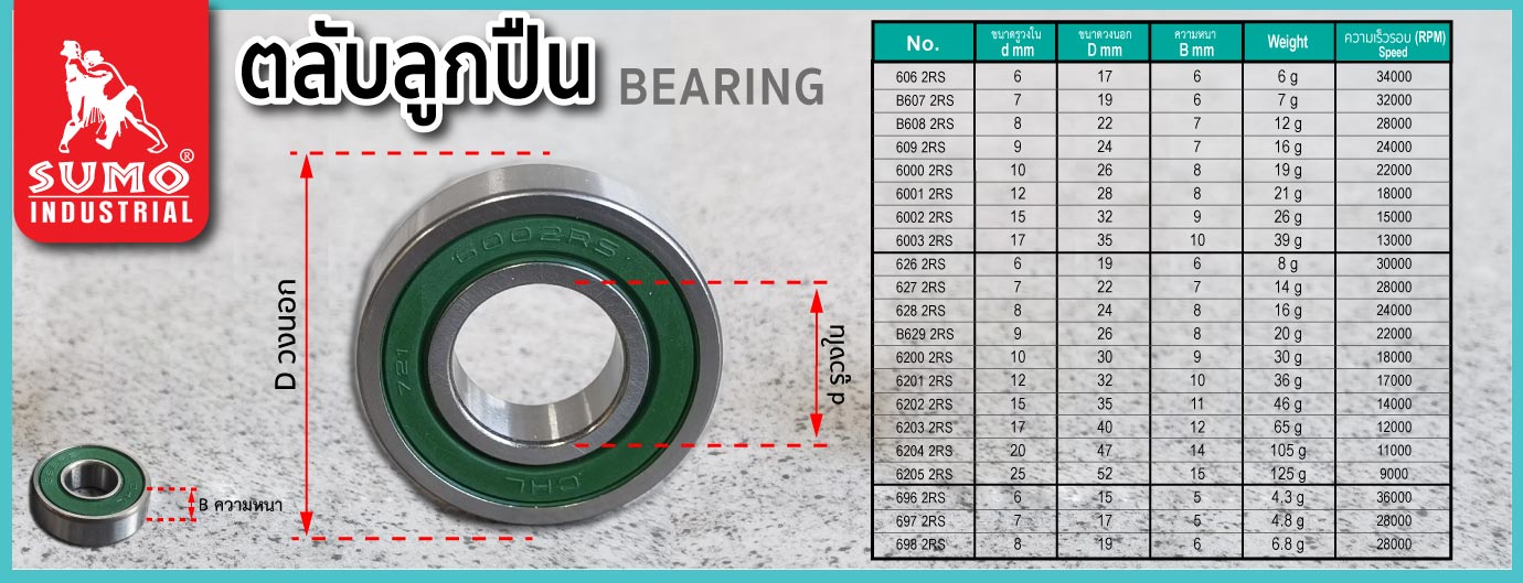 ตลับลูกปืน สำหรับ เครื่องมือไฟฟ้า ตลับลูกปืน สำหรับ เครื่องมือไฟฟ้า