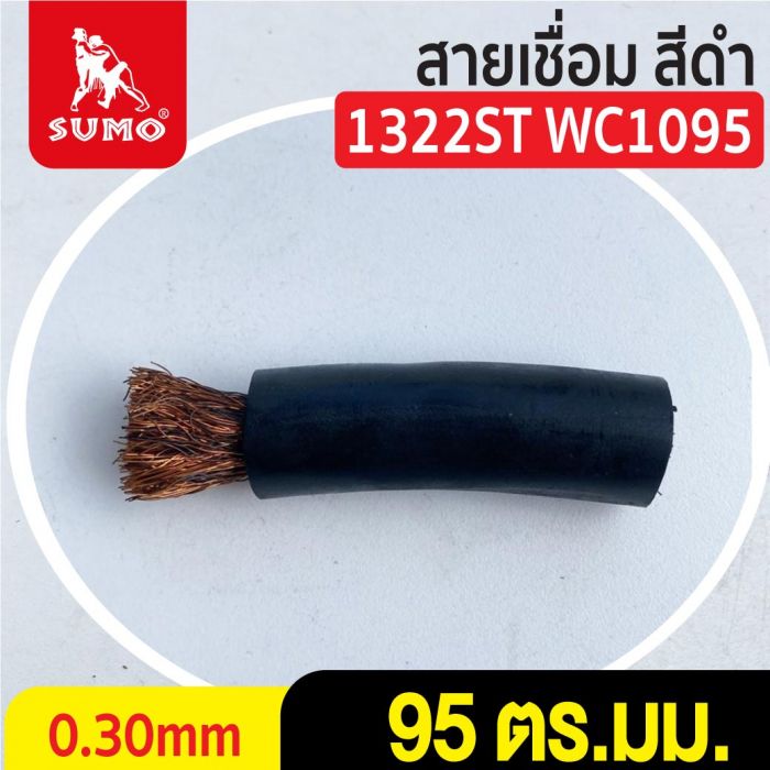 สายเชื่อม สีดำ# 95 ตร.มม. 0.30mm/1322ST WC1095