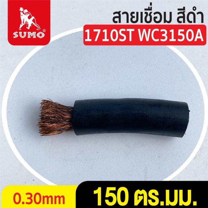 สายเชื่อม สีดำ# 150 ตร.มม. 0.30mm/1710ST WC3150A
