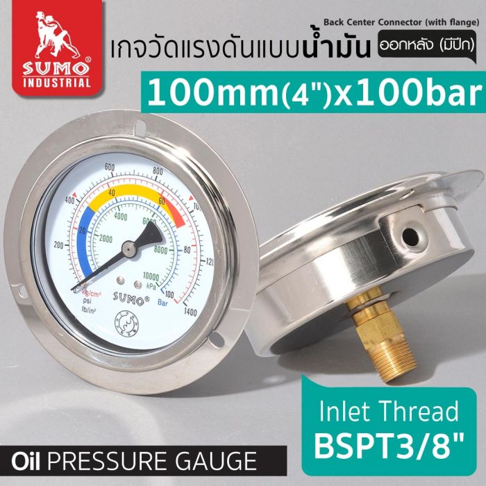 เกจวัดแรงดัน แบบน้ำมัน 100mm.x100barx3/8" ออกหลัง (มีปีก)