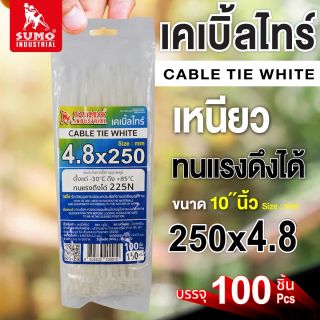 เคเบิ้ลไทร์ 250mm.(10
