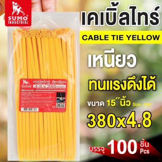 เคเบิ้ลไทร์ 380mm.(15