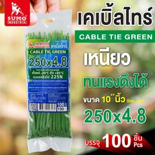เคเบิ้ลไทร์ 250mm.(10
