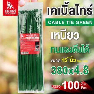 เคเบิ้ลไทร์ 380mm.(15